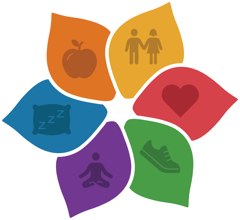 Petals of Health diagram