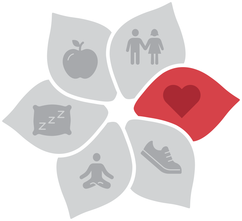 Social Connections