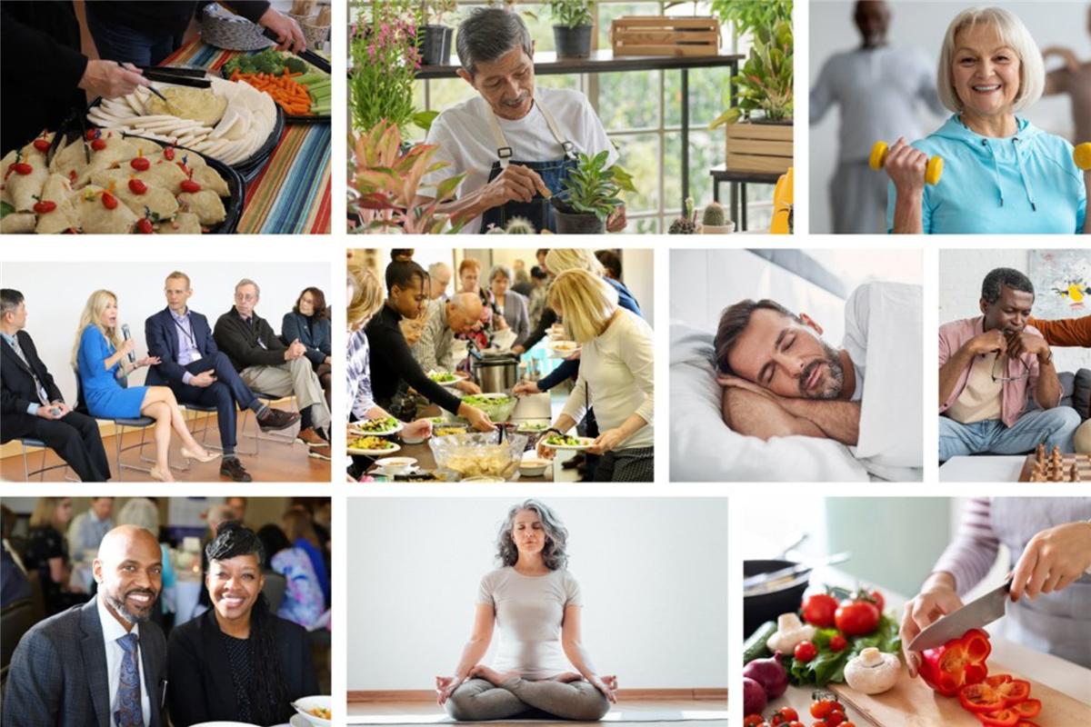 May 2024 Proclaimed "Health and Wellness Month" by Minnesota Governor Tim Waltz and "Lifestyle Wellness Awareness Month" by Rochester Mayor Kim Norton