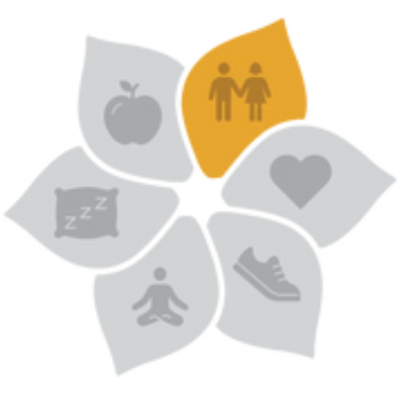 Social Connection