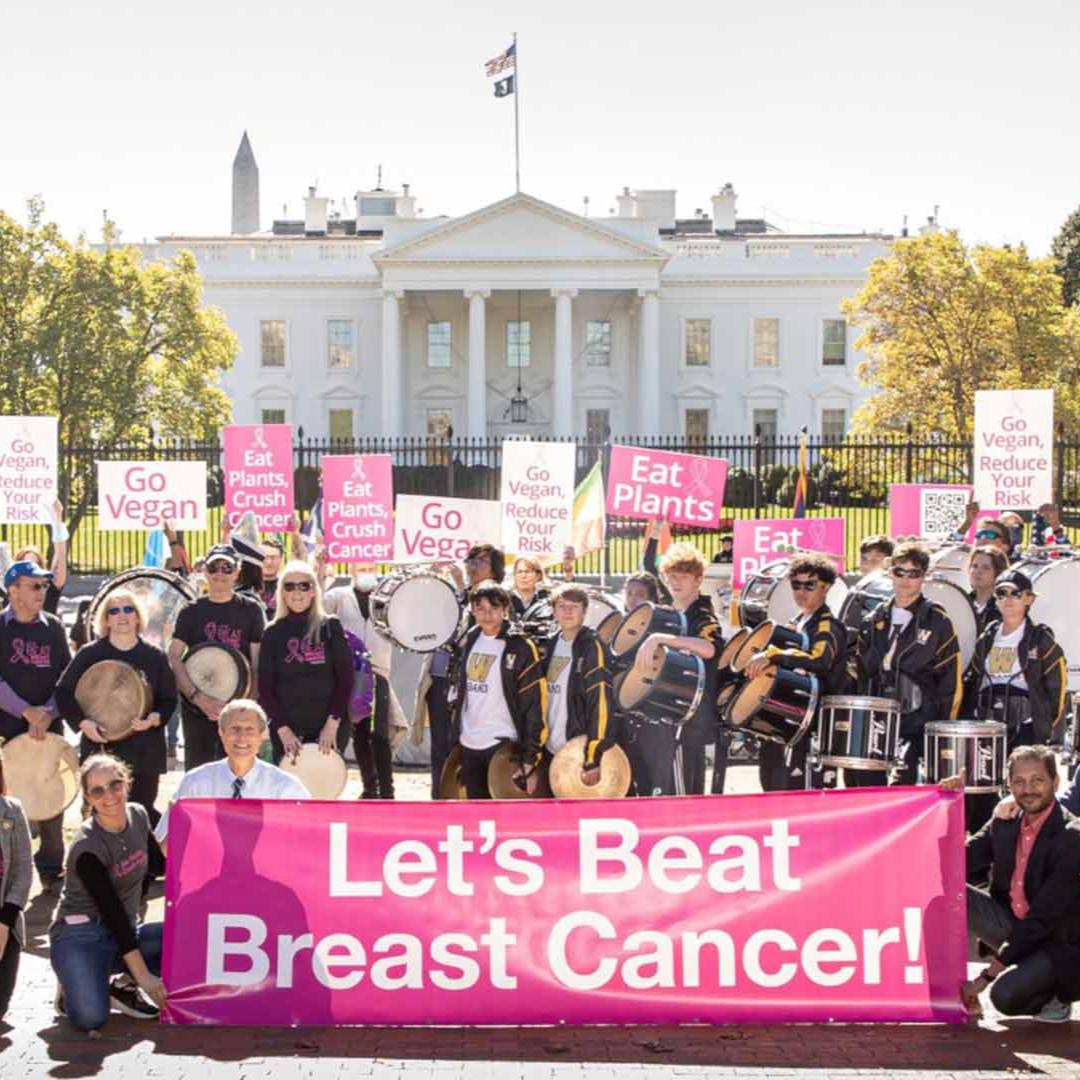 Let's Beat Breast Cancer